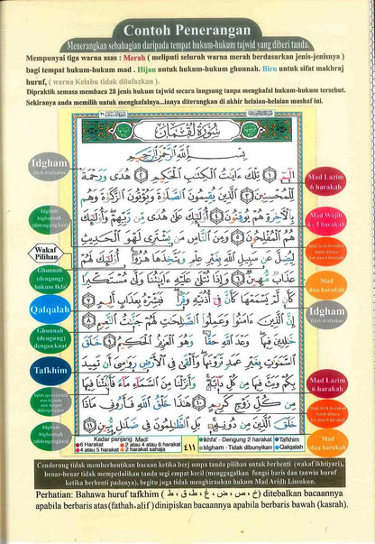 Tajweed Quran with French Translation and Transliteration