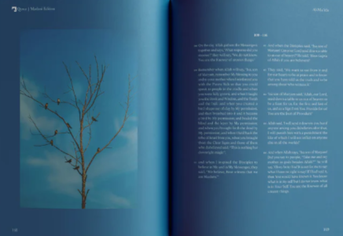The Message Madani Edition – Study of Madani Surahs in English by QUWA-islamicbrands.org