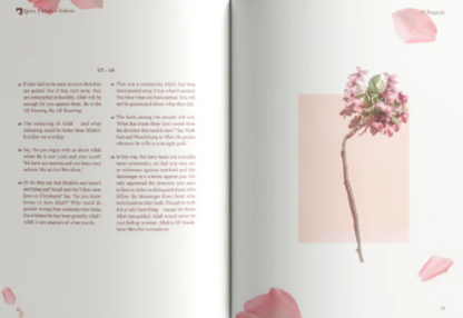 The Message Madani Edition – Study of Madani Surahs in English by QUWA-islamicbrands.org