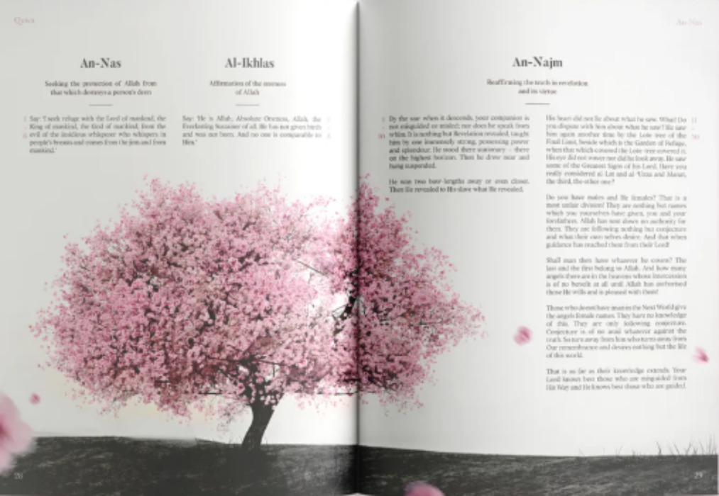 The Message: Study of the Makkan Surahs in English – Quran Reflection Book by QUWA-islamicbrands