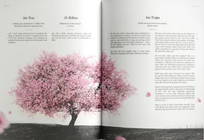 The Message: Study of the Makkan Surahs in English – Quran Reflection Book by QUWA-islamicbrands