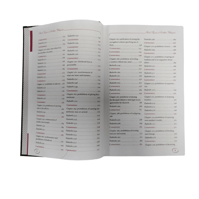 Explanation of Riyadus-Saliheen Volumes 1-6 - English Commentary on Hadith