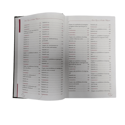 Explanation of Riyadus-Saliheen Volumes 1-6 - English Commentary on Hadith