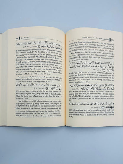 The Remedy for Those Victimized by Sins | Islamic Guide to Repentance & Spiritual Healing