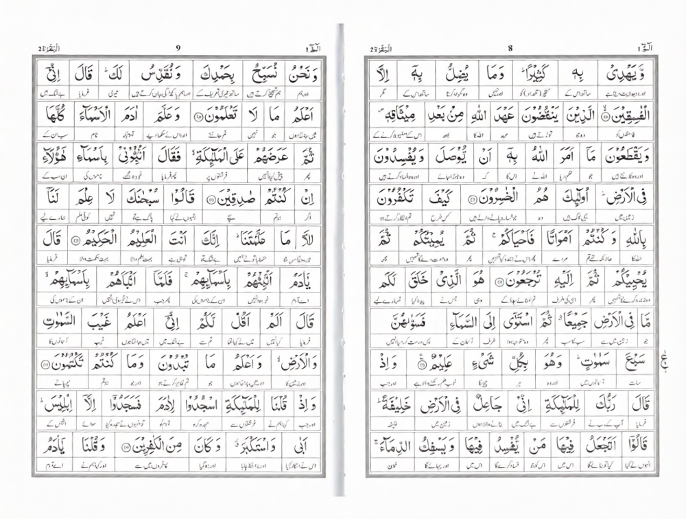 Word-by-Word Quran with Urdu Translation by Dr Farhat Hashmi – Hardcover (2 Volume Set)
