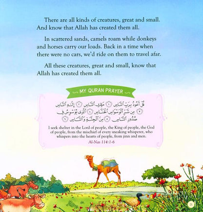 Bedtime Quran Stories by Saniyasnain Khan