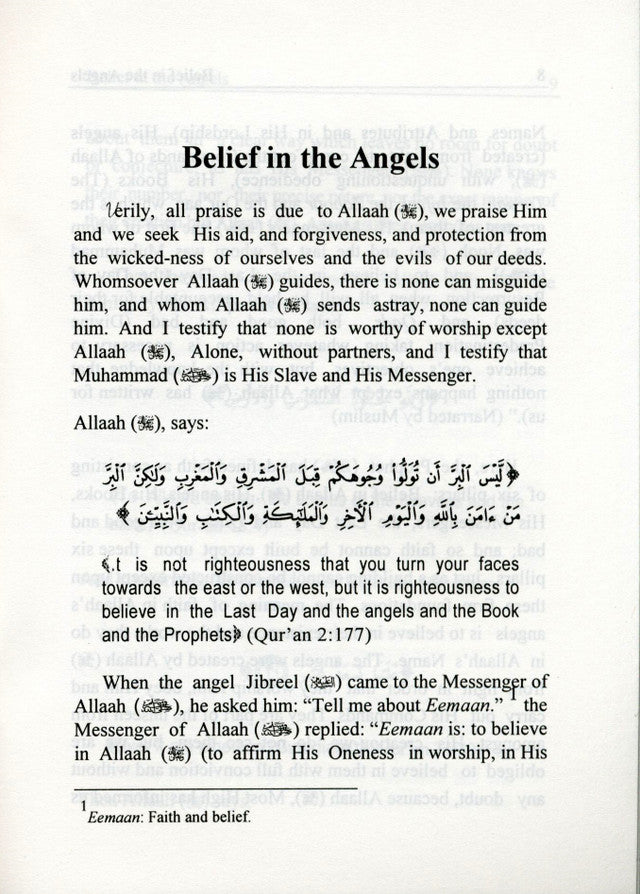 Belief In The Angels : Pocket Plus Size by Sameh Strauch