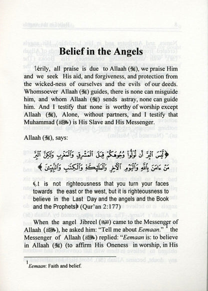 Belief In The Angels : Pocket Plus Size by Sameh Strauch