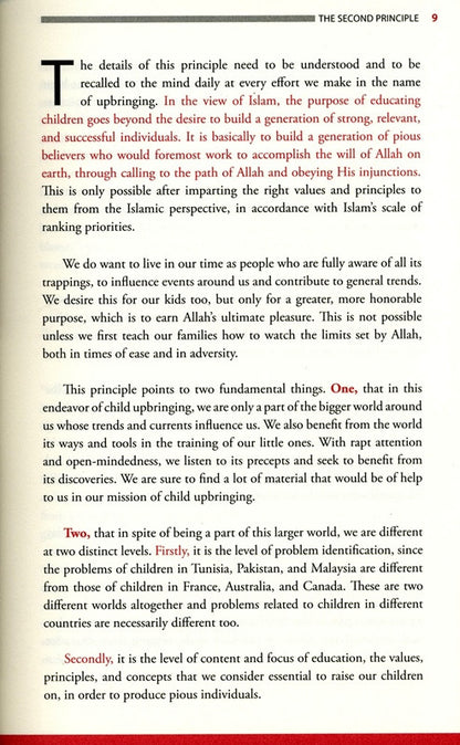 Child Upbringing (Successful Family Upbringing Series 02) | Essential Principles of Parenting
