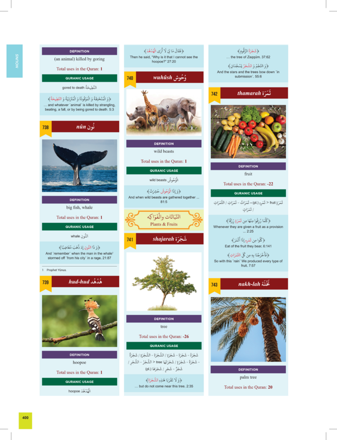 The Clear Quran Series Dictionary | Learn Quranic Arabic Easily | Dr. Mustafa Khattab