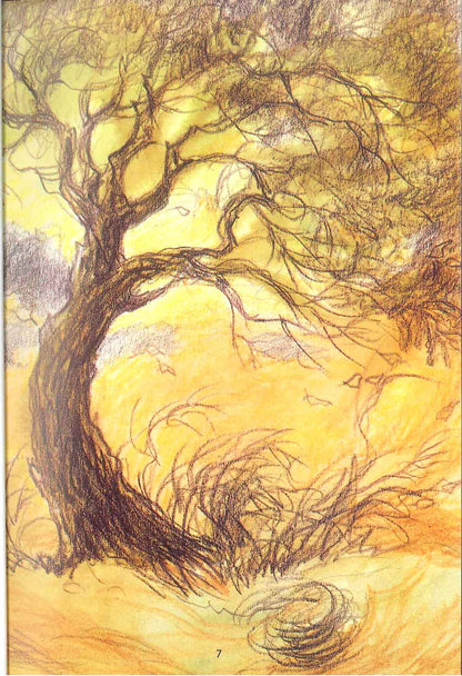 Parents Love and Other Islamic Stories – Kindness by Ishrat J Rumy