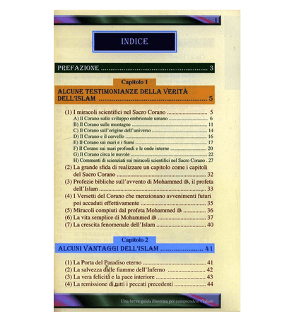 A Brief Illustrated Guide to Understanding Islam –  (Softcover 15×21 cm) | Illustrated Introductory Islamic Guide