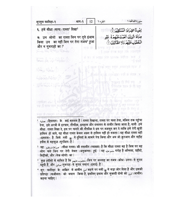 Noble Quran in Hindi Language – Mukhtasar Tafseer Ahsanul Bayan - Hardcover