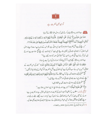 Attainment of the Happiness (Sadaton Ka Safar) in Urdu  | Islamic Hadith & Monotheism Guide