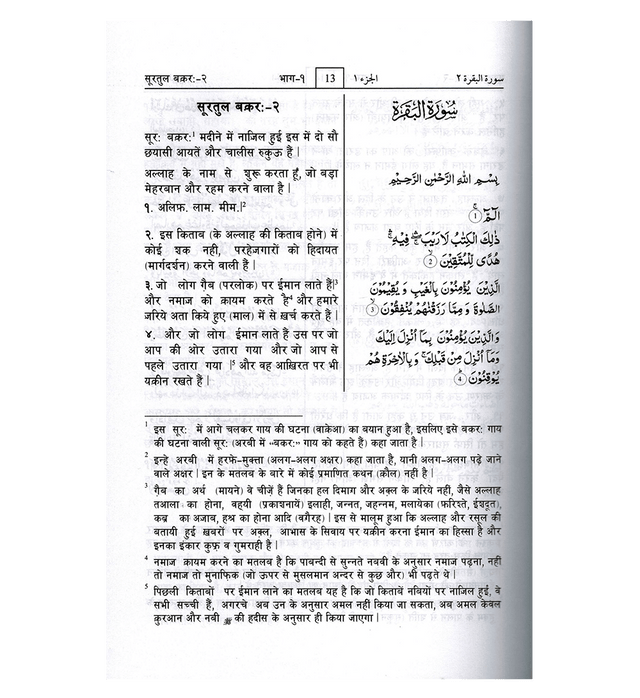 Noble Quran in Hindi Language – Mukhtasar Tafseer Ahsanul Bayan - Hardcover