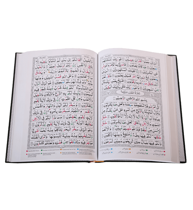 Tajweed Quran – Persian, Urdu, Hindi & South African Script with 15 Lines | Colour-Coded Tajweed