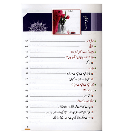 Alim-e-Aakhirat Urdu : عالِم آخرت | Guide to the Hereafter