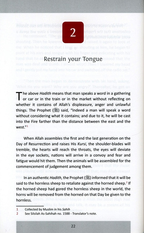 Rekindle Your Life: Inspiring True Stories | Islamic Self-Development