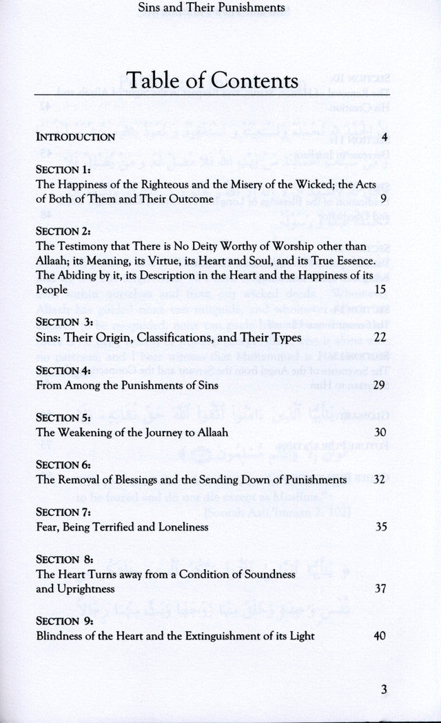 Sins and Their Punishments – Islamic Treatise by Imam Ibn Qayyim al-Jawziyyah | Tarbiyyah Publications (Softcover, 80 Pages)