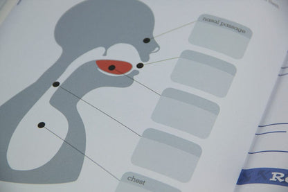 Tajweed Untangled – A Clear & Practical Guide to Mastering Quranic Tajweed Rules