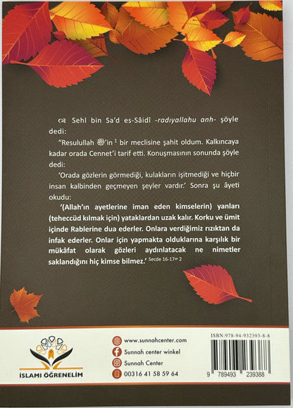 description of paradise turkish language
